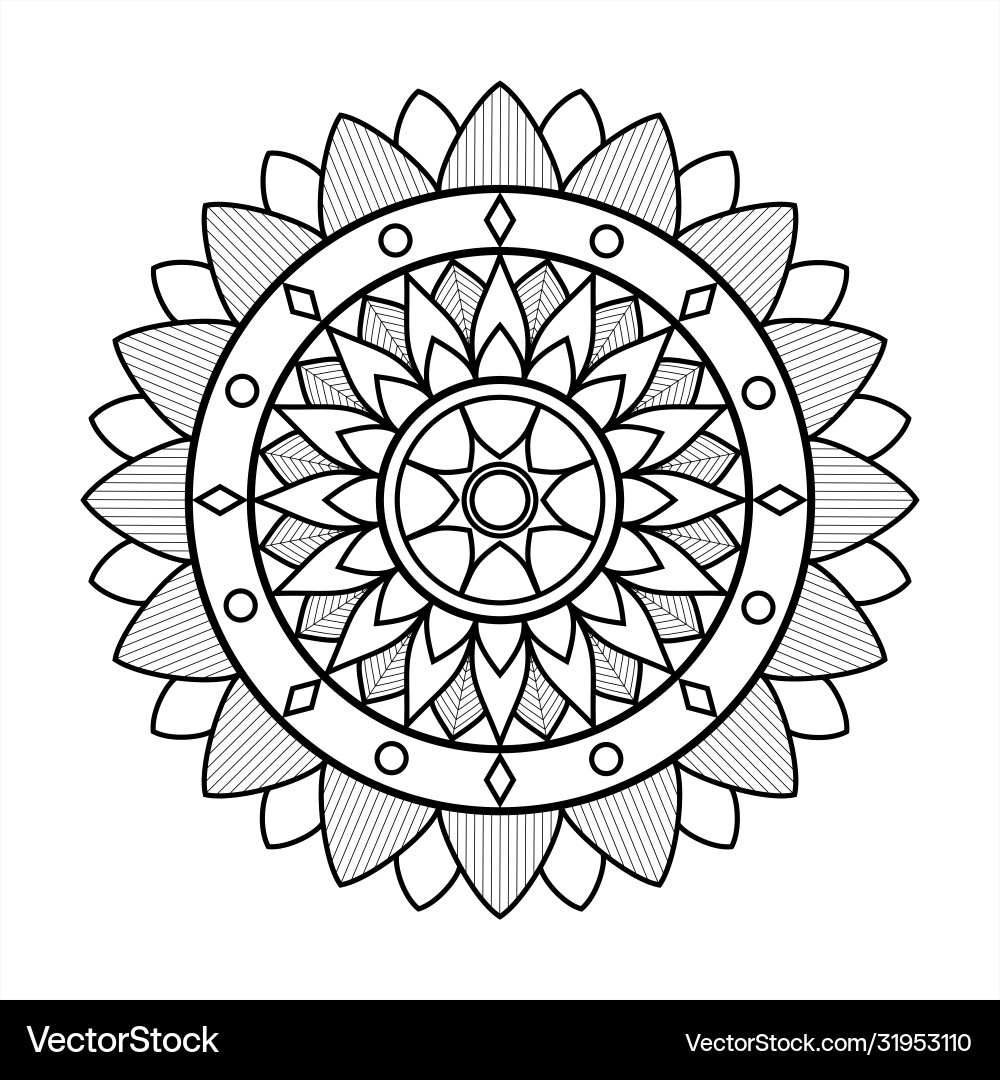 Contour floral mandala with ornament decorative Contour floral mandala with ornament decorative vector image
