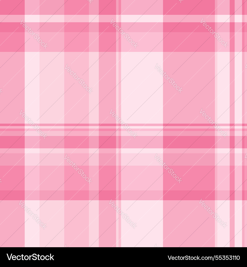 Rustic texture check scenery textile background vector image