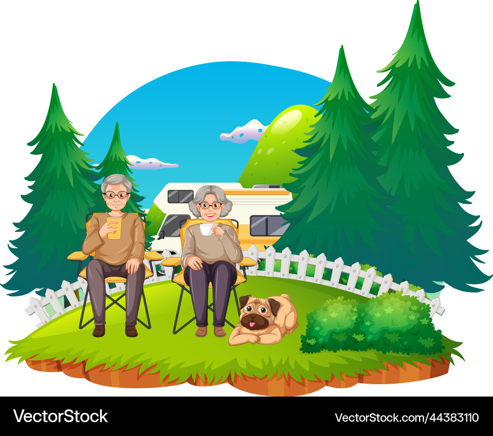 Senior couple camping at park vector image