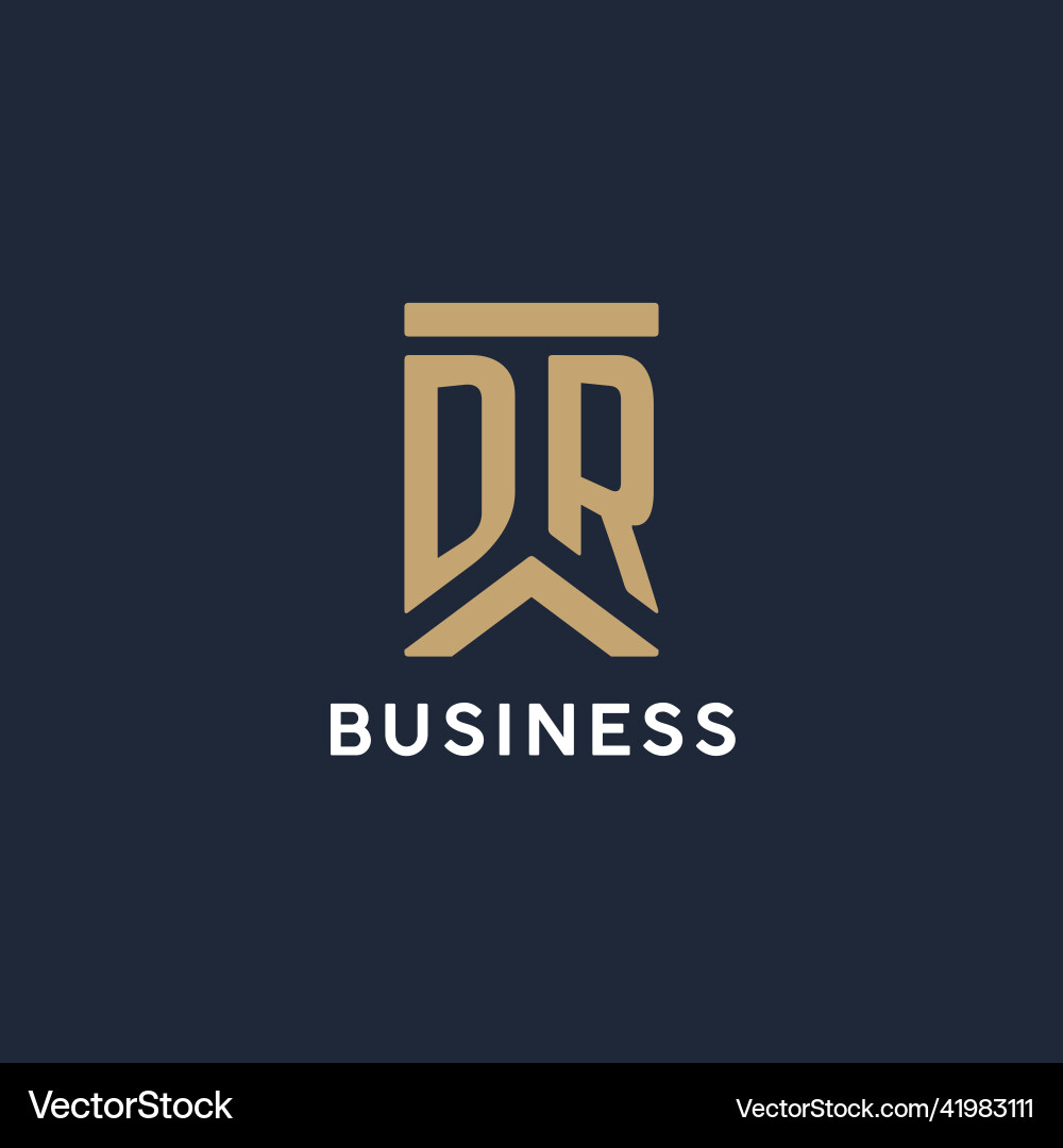 Dr initial monogram logo design in a rectangular Vector Image