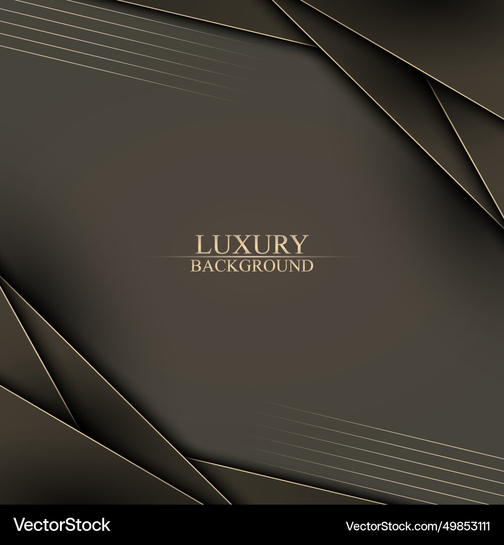 Luxury stripes overlapping layer with lines Luxury stripes overlapping layer with lines vector image