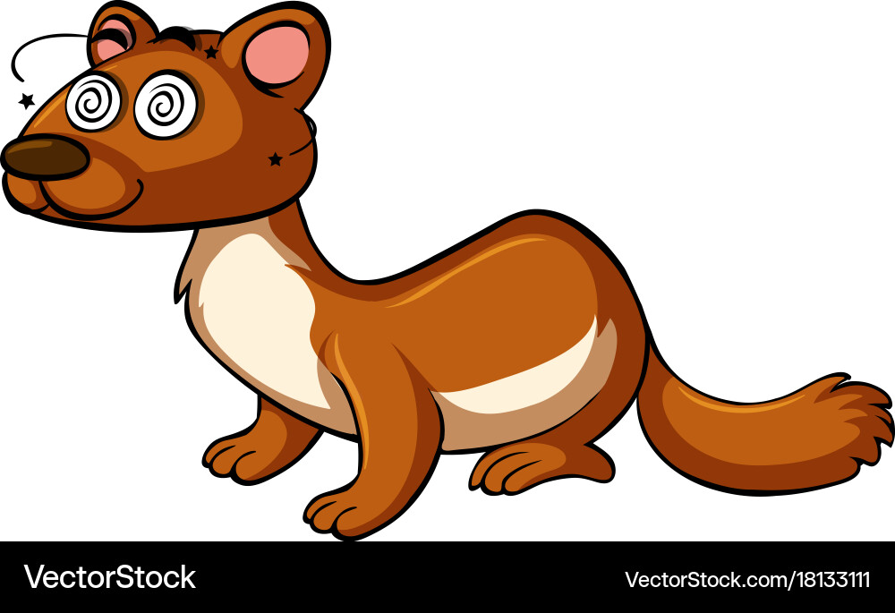 Mongoose with dizzy face Vector Image