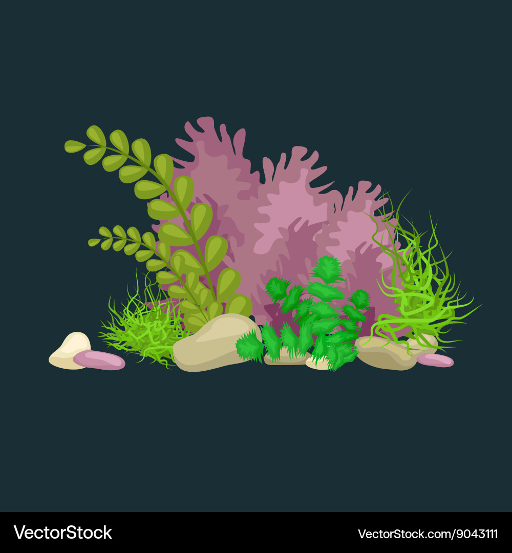 Set isolated colorful corals and algae Vector Image