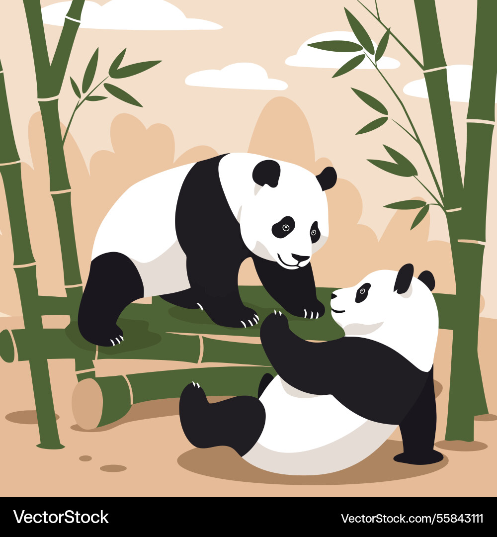 Two pandas playing with bamboo graphic in natural Vector Image