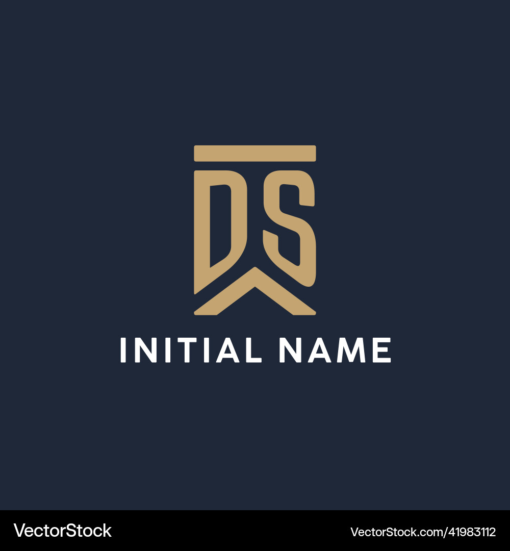 Ds initial monogram logo design in a rectangular Vector Image