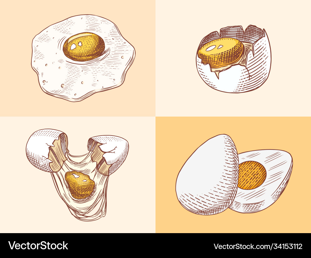 Eggs and yolk scrambled omelette shell Eggs and yolk scrambled omelette shell Vector Image