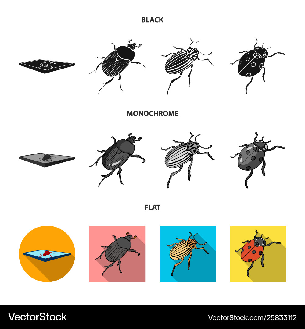 Isolated object insect and beetle icon set vector image