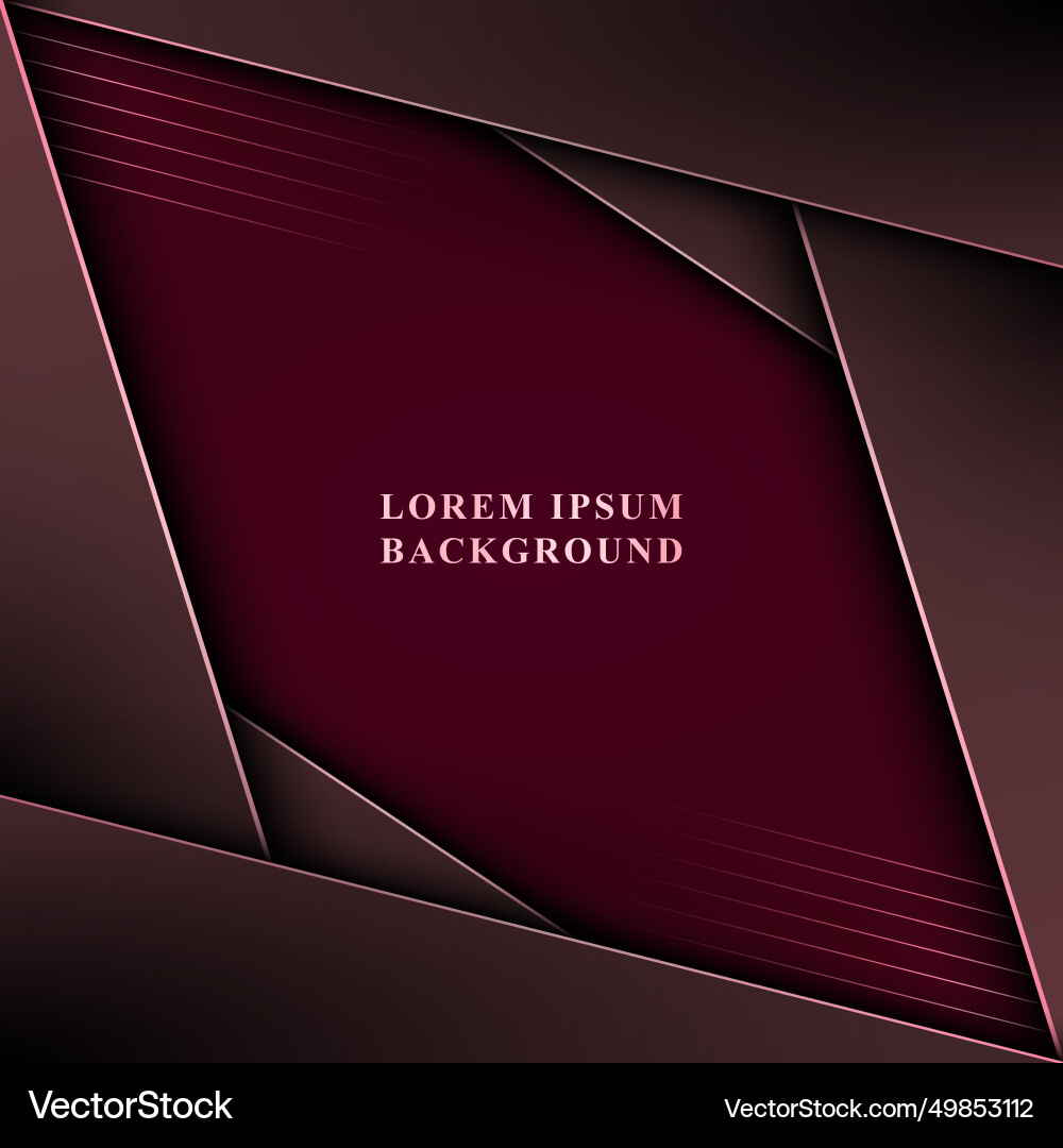 Luxury stripes overlapping layer with lines Luxury stripes overlapping layer with lines vector image