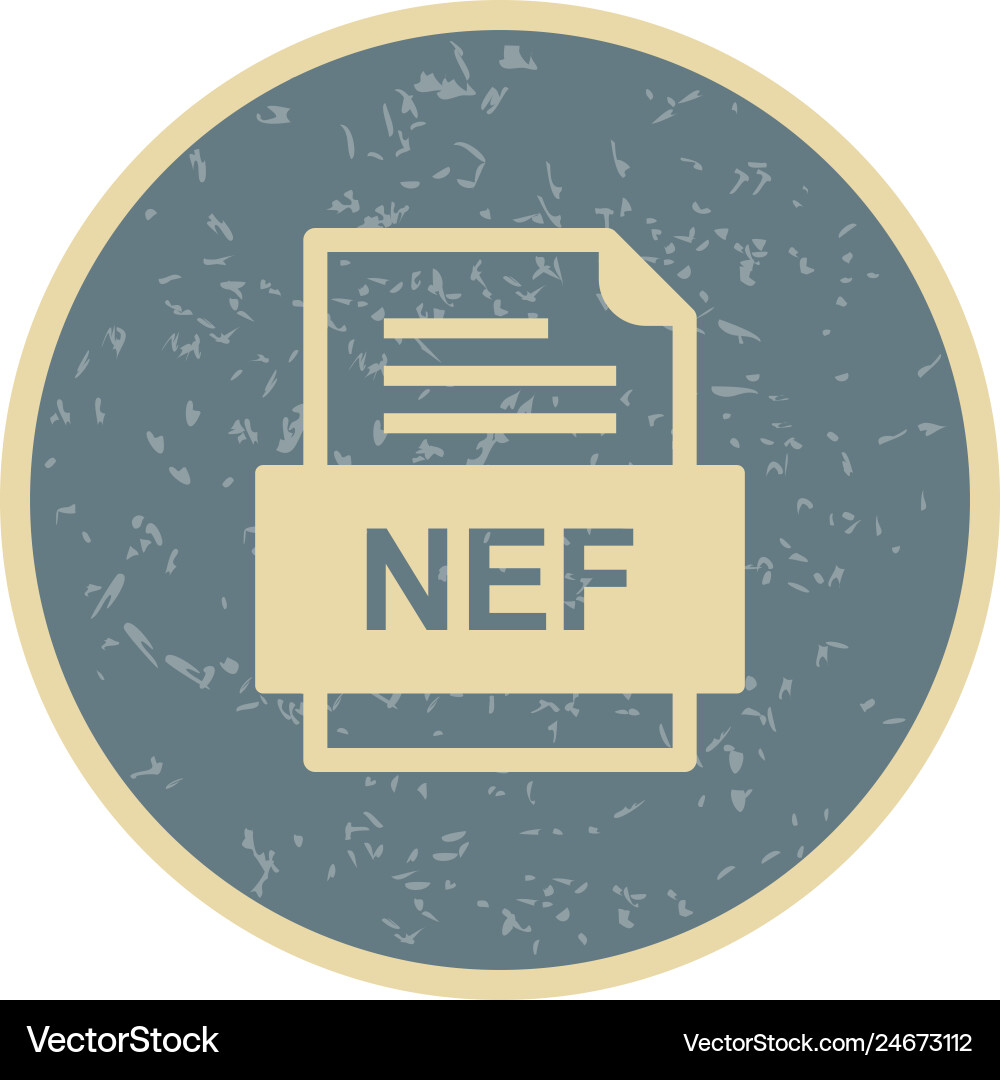 Nef file document icon Vector Image