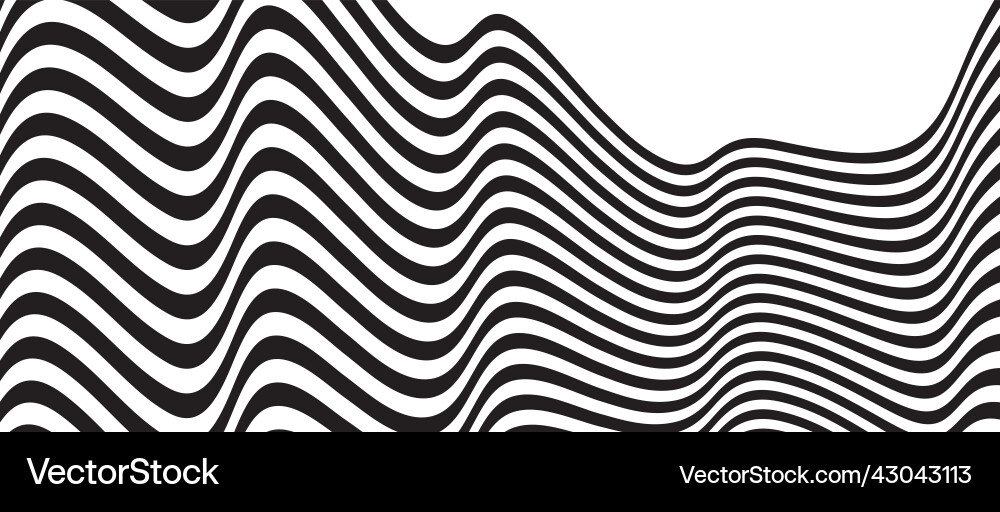 Black and white curve lines pattern Black and white curve lines pattern vector image