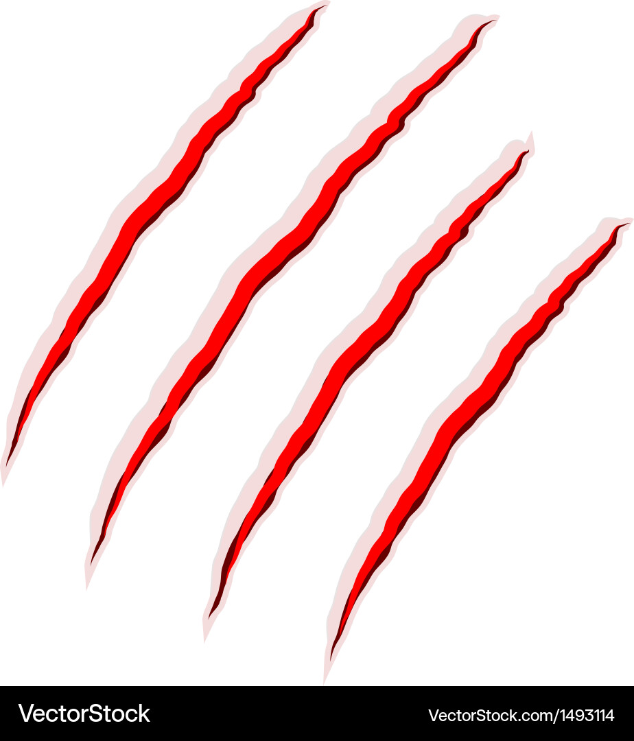 Aggressive Claw Scratches Vector Image