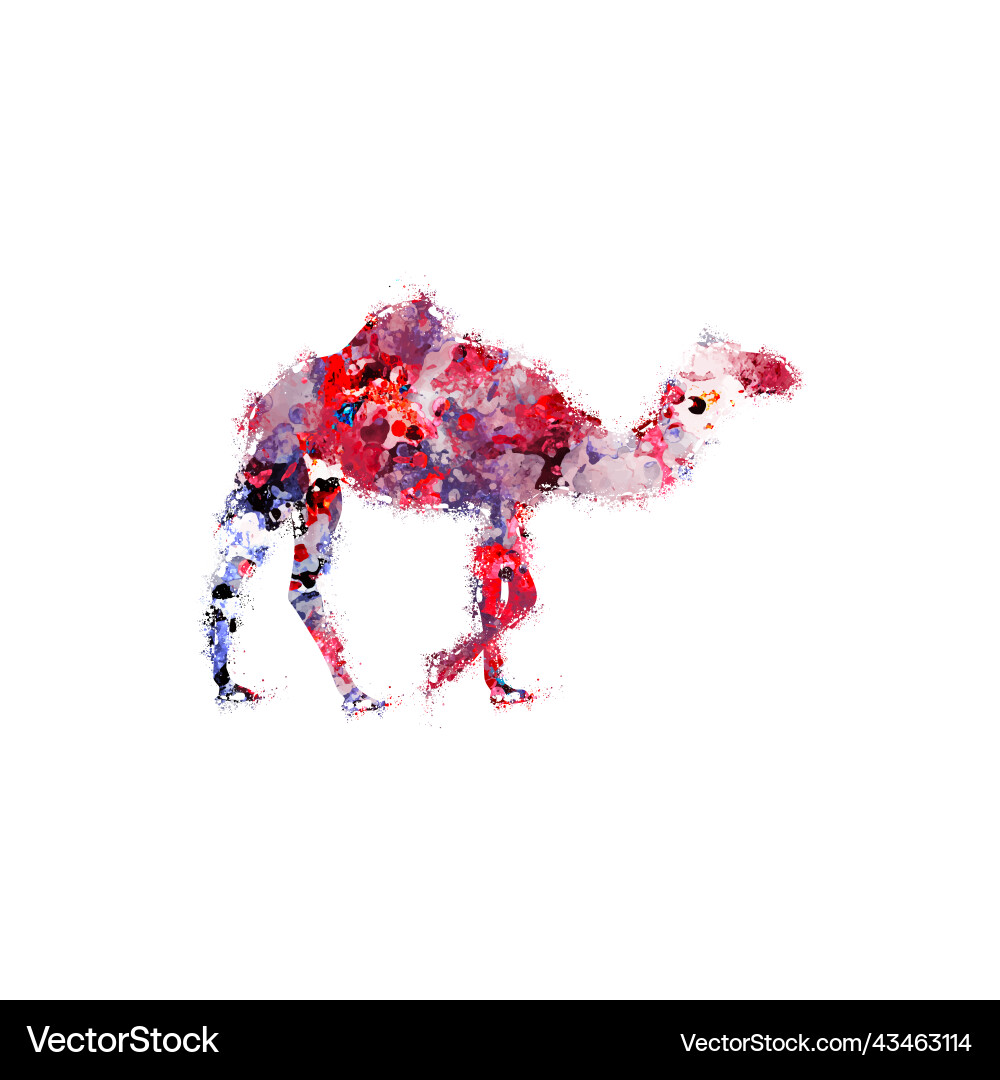 Camel design print Vector Image