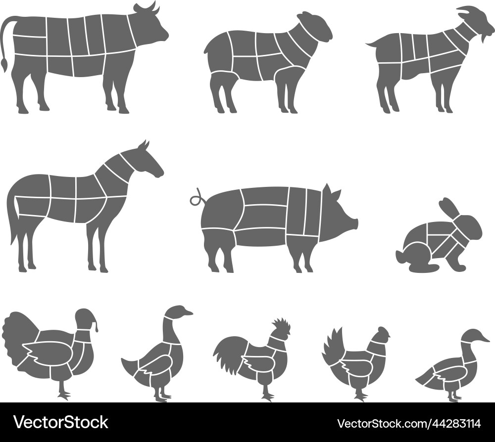 Farm Meat Cuts & Animal Diagram Royalty Free Vector