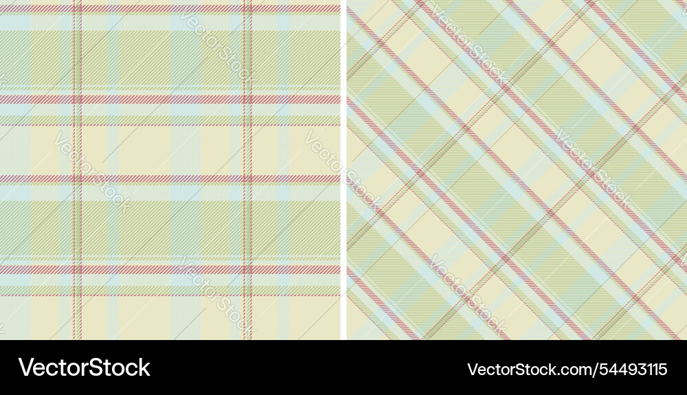 Check texture pattern of seamless textile vector image