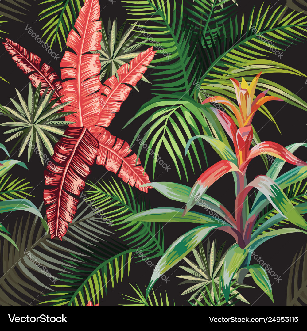 Pink palm leaves bromelia black background Pink palm leaves bromelia black background vector image