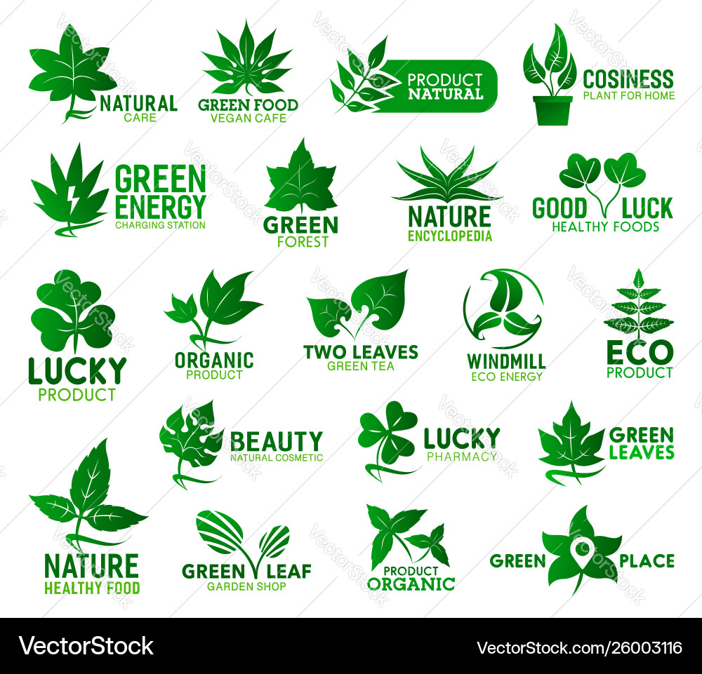 Green leaves plants trees and flowers vector image