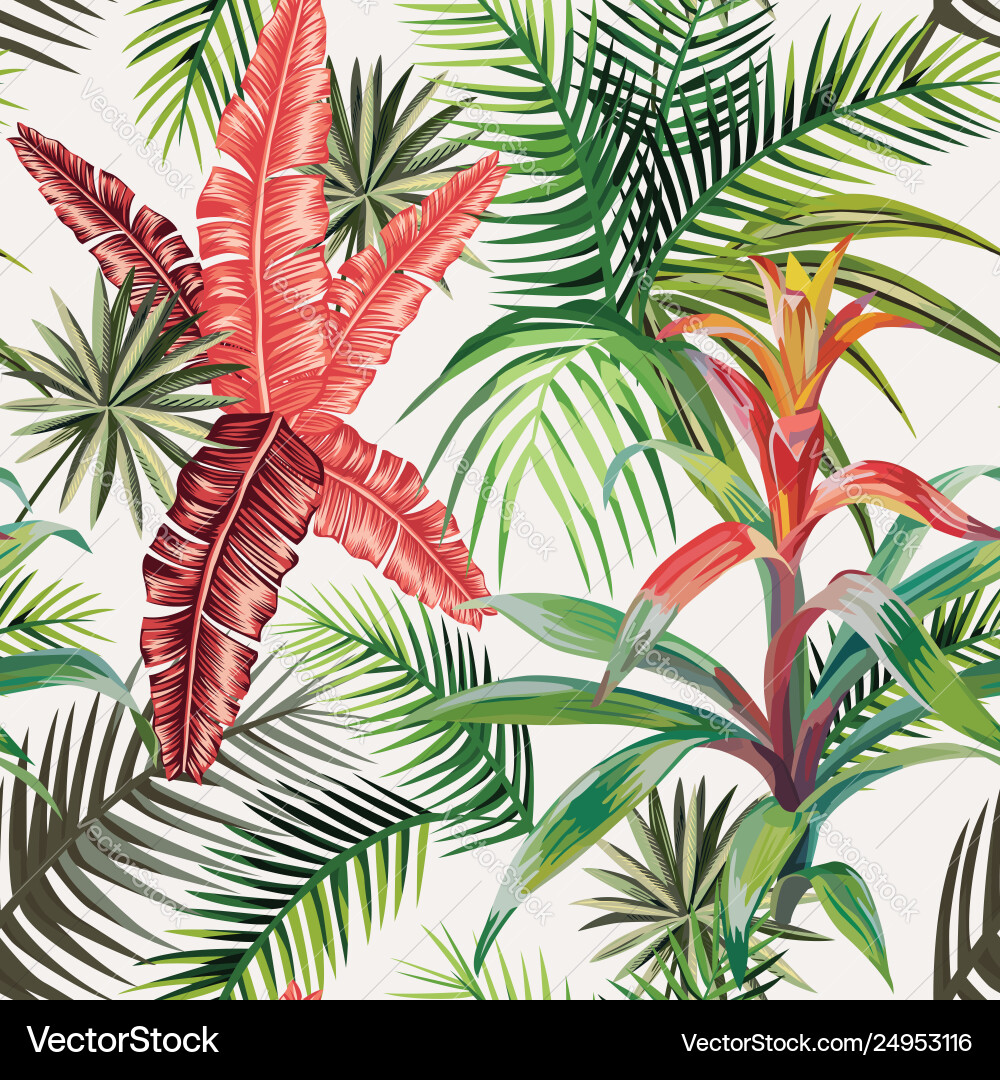 Pink palm leaves bromelia light background Pink palm leaves bromelia light background vector image