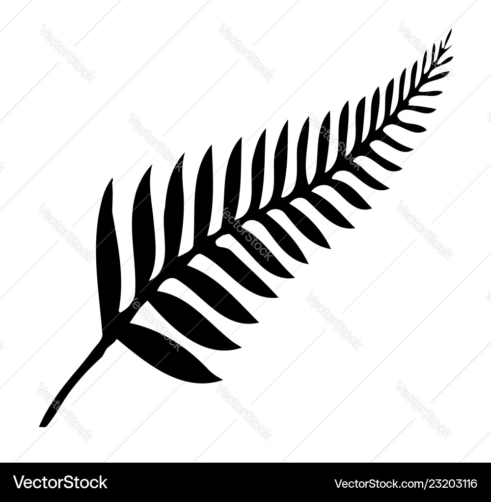 Silver fern of new zealand Royalty Free Vector Image