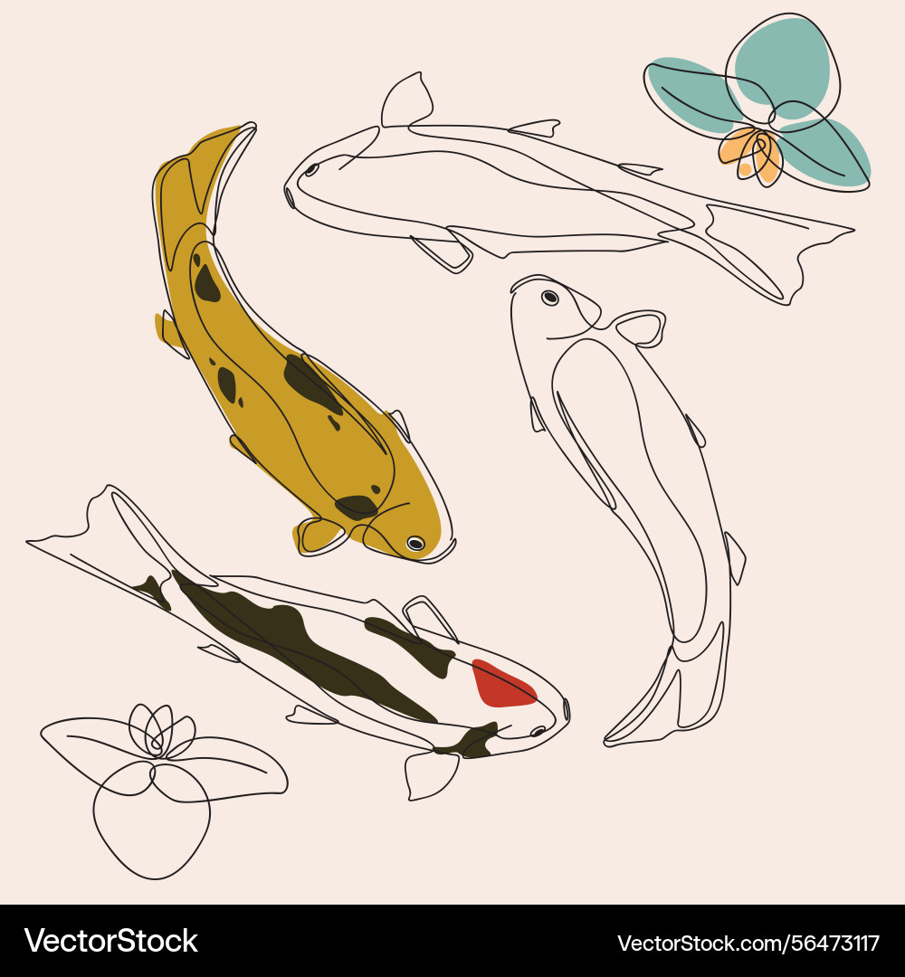 Minimalistic continuous line art of koi and lotus vector image