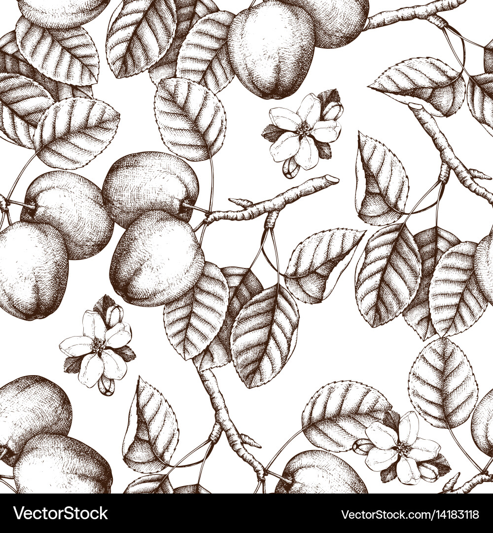 Apple Sketch Seamless Pattern Vector Image