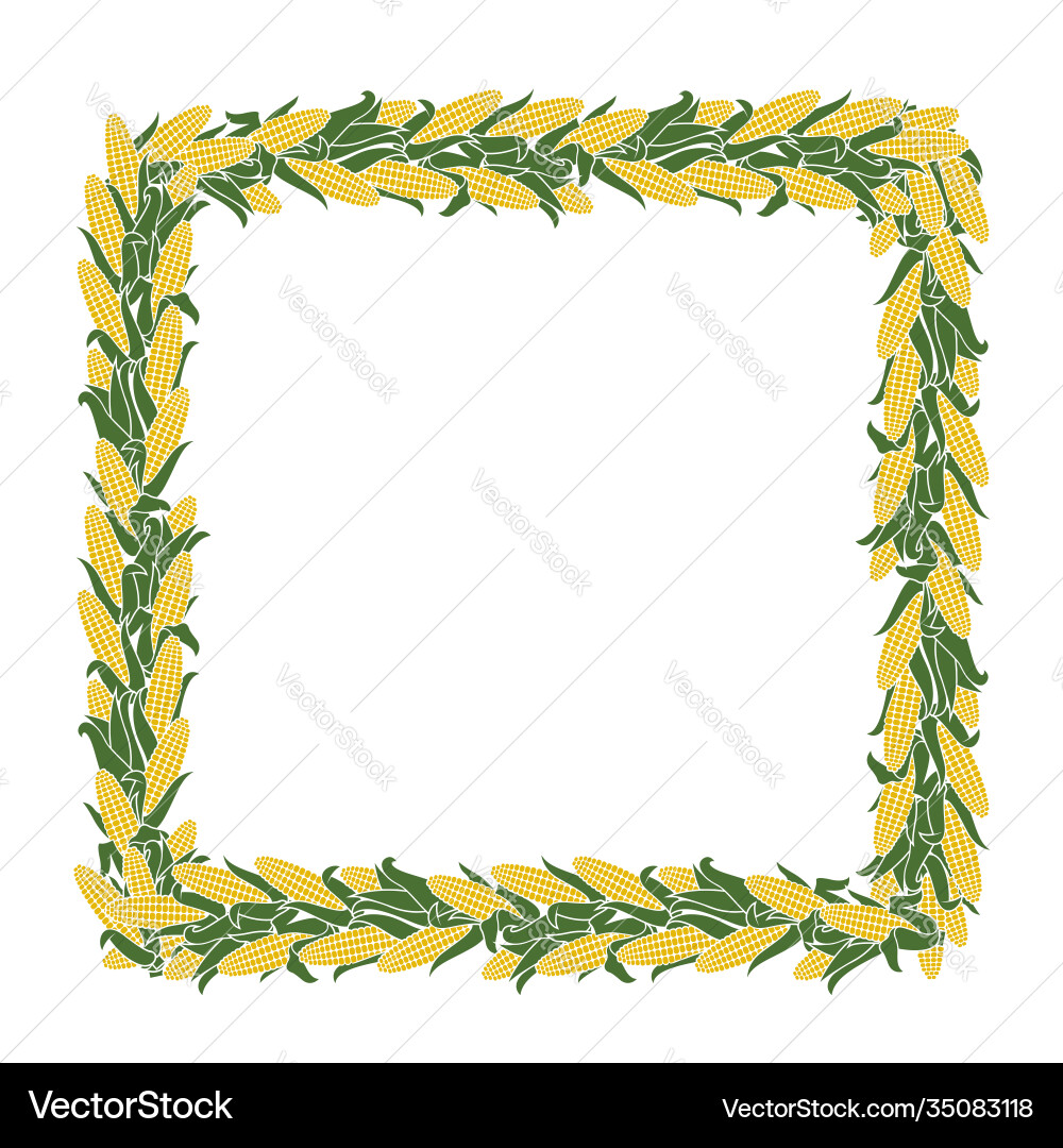 Corncob frame pattern vector image