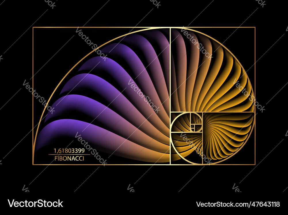 Golden Spiral & Fibonacci Sequence vector image