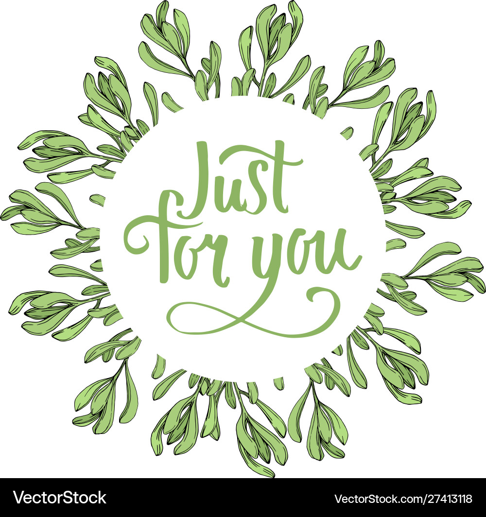 Jungle botanical succulent flower engraved Jungle botanical succulent flower engraved vector image