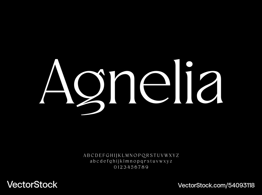 Modern elegant sharp serif alphabet display font Modern elegant sharp serif alphabet display font vector image