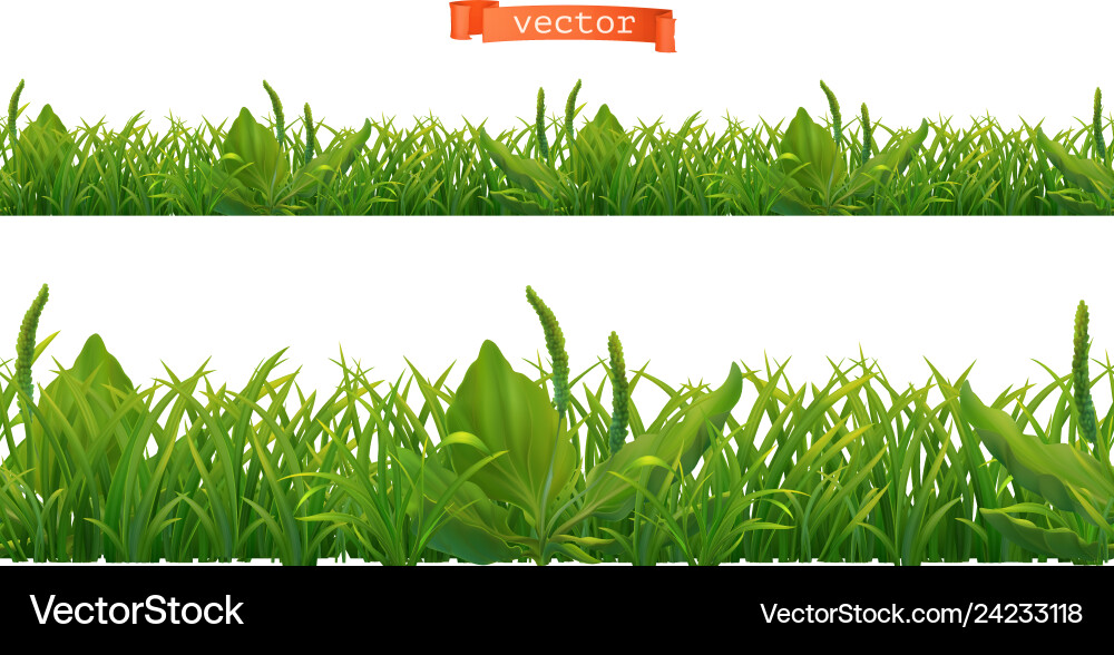 Realistic 3D Green Grass Pattern Royalty Free Vector Image