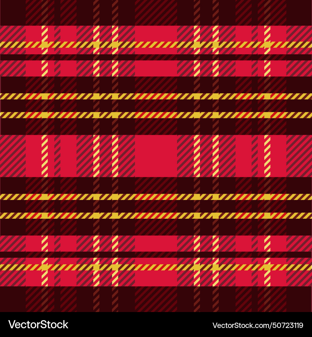 Abstract pattern background with tartan style vector image