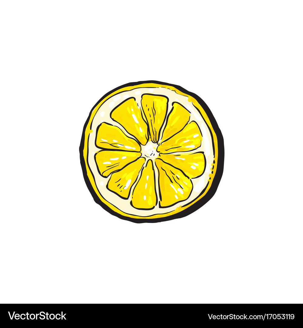 Cartoon Lemon Slice (17053119) – Royalty-Free Vector | VectorStock