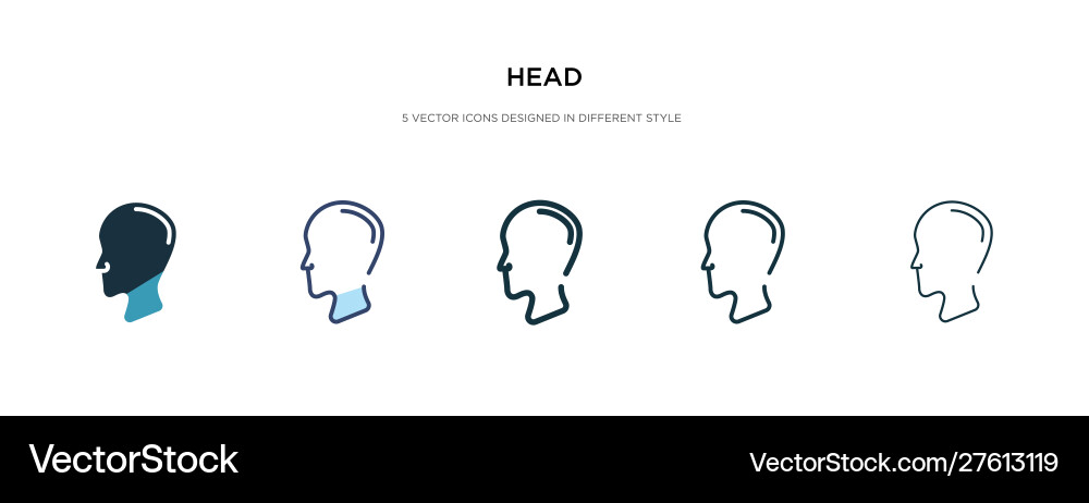 Head icon in different style two colored Vector Image