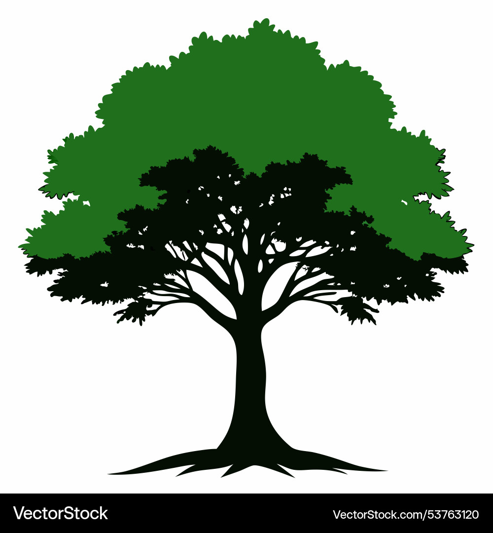 Creating realistic tree Creating realistic tree Vector Image