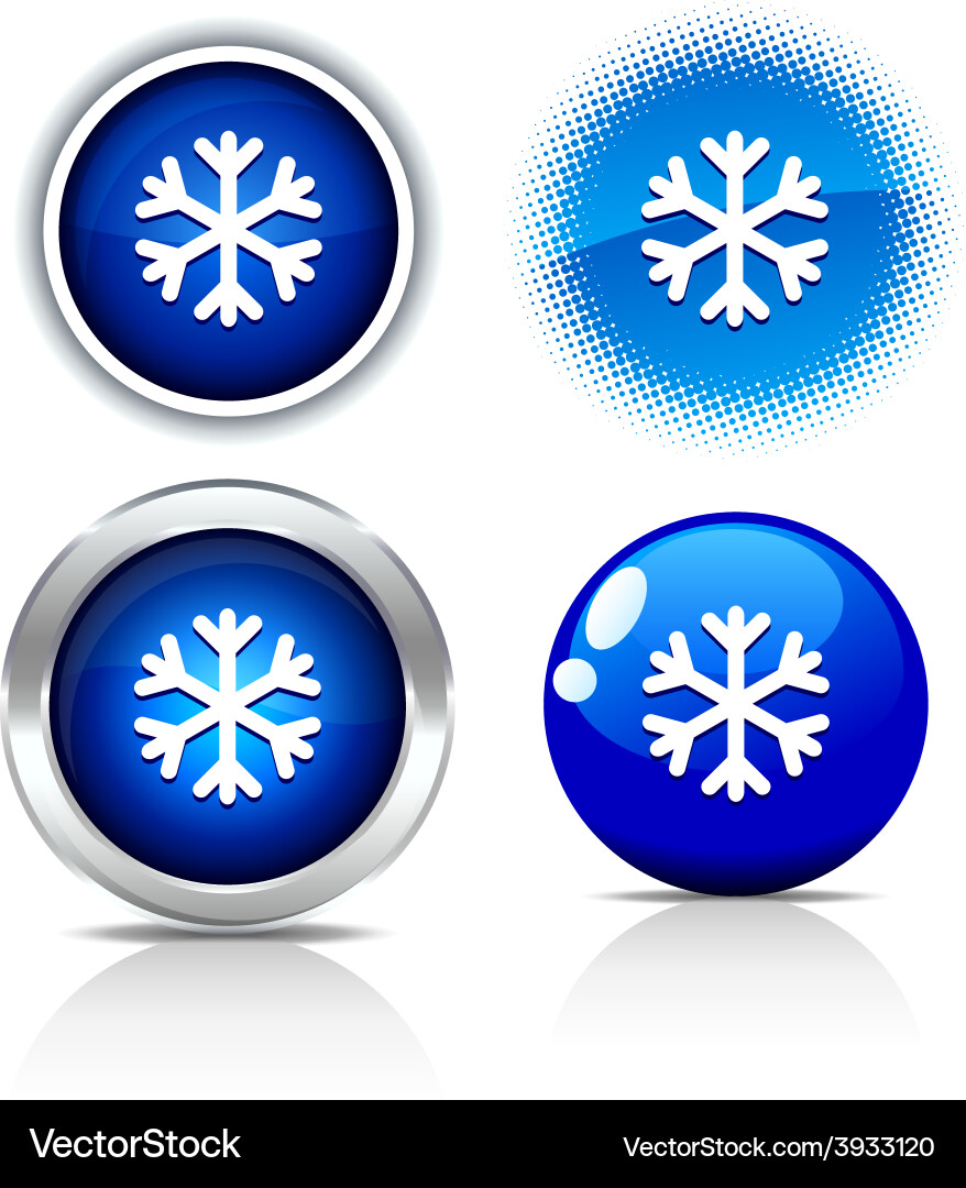 Snowflake buttons vector image