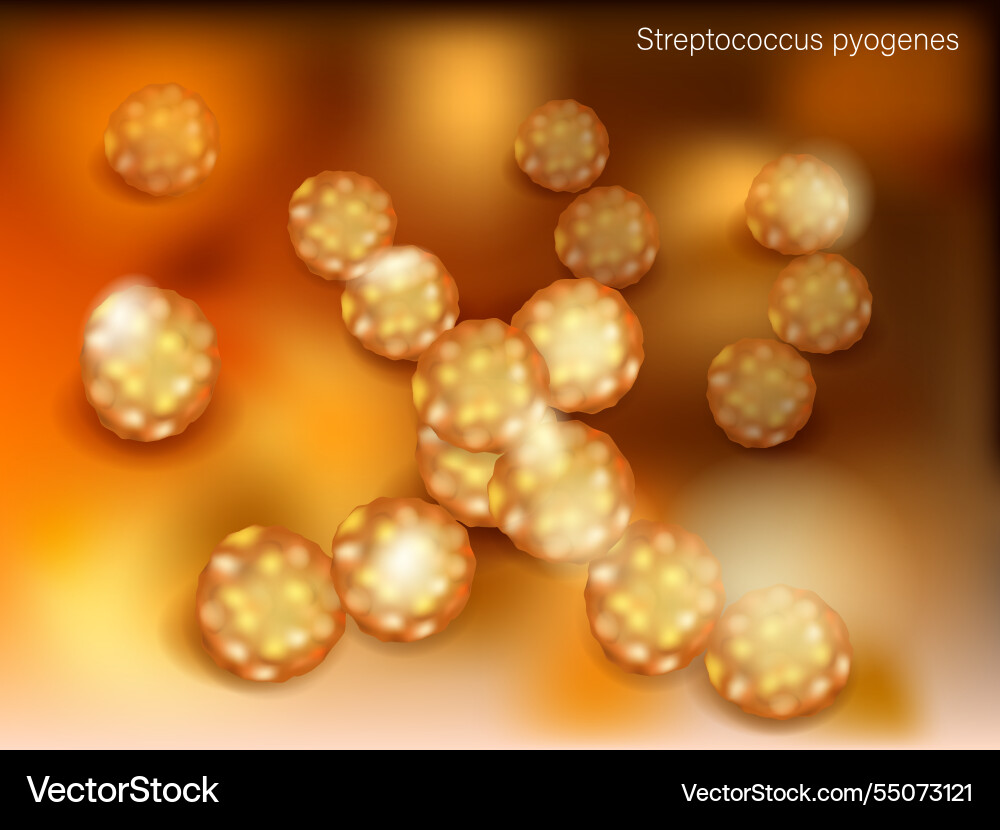 Pathogen streptococcus pyogenes under microscopic Vector Image