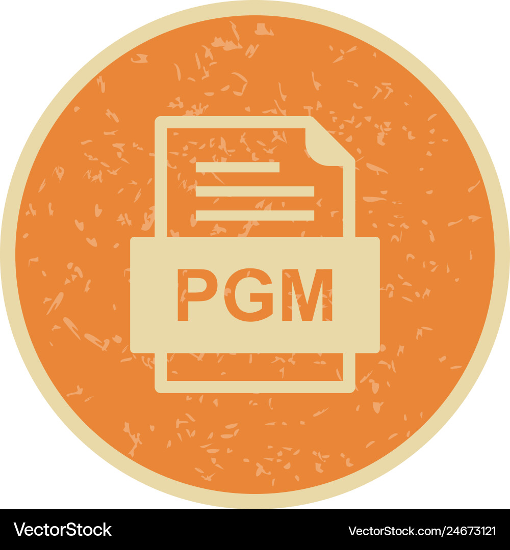 Pgm file document icon vector image