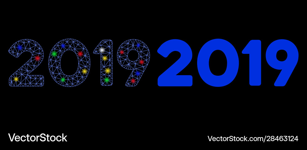 Flare mesh wire frame 2019 digits text icon Flare mesh wire frame 2019 digits text icon vector image