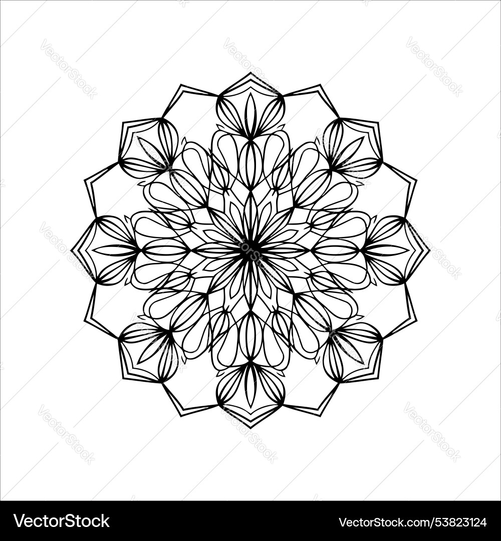 Mandala design with detailed circular patterns Vector Image