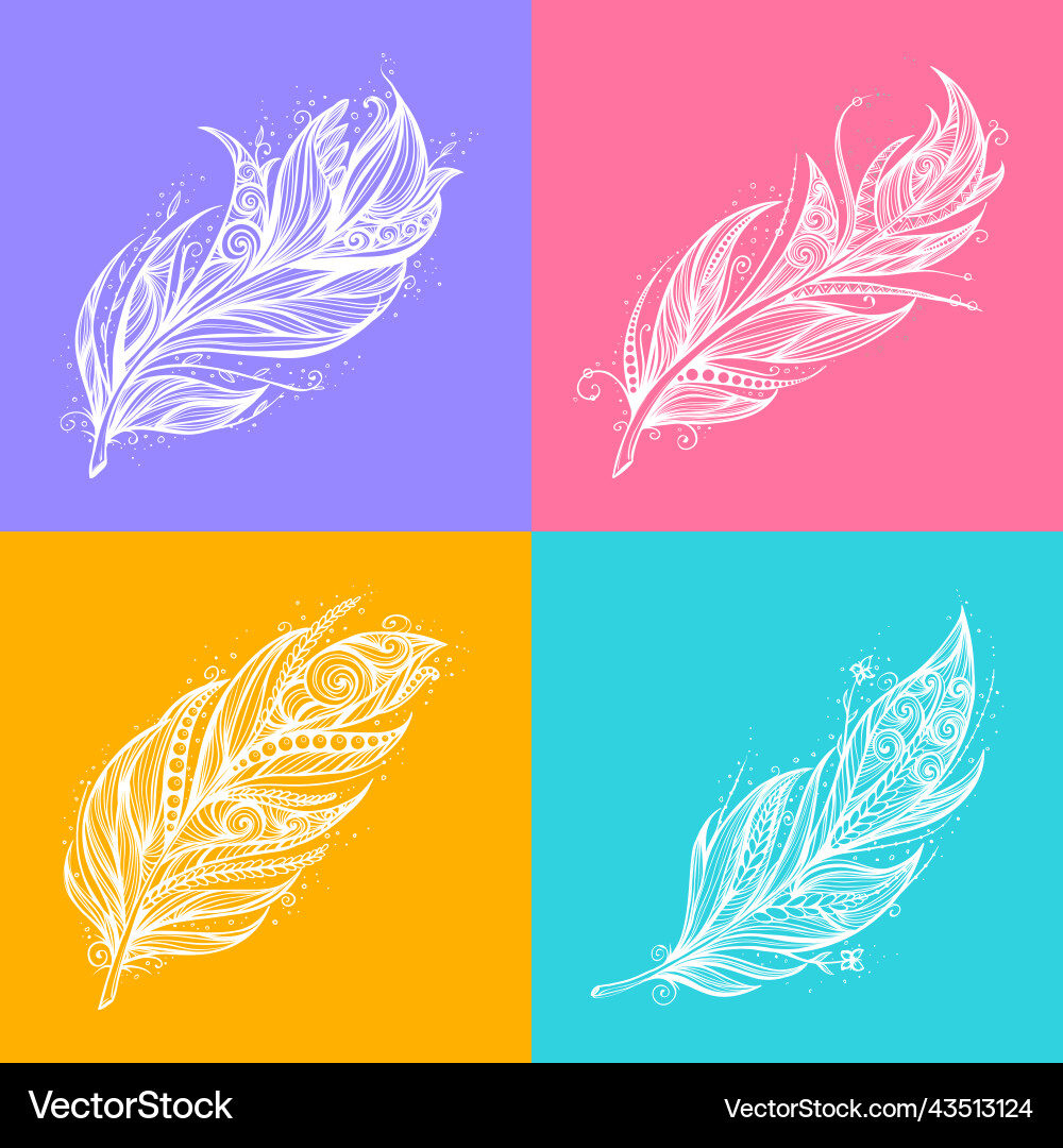Set of beautiful feathers in line graph on bright Set of beautiful feathers in line graph on bright vector image