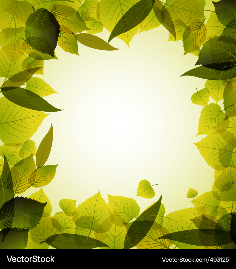 Abstract Spring Leaf Background Vector Image