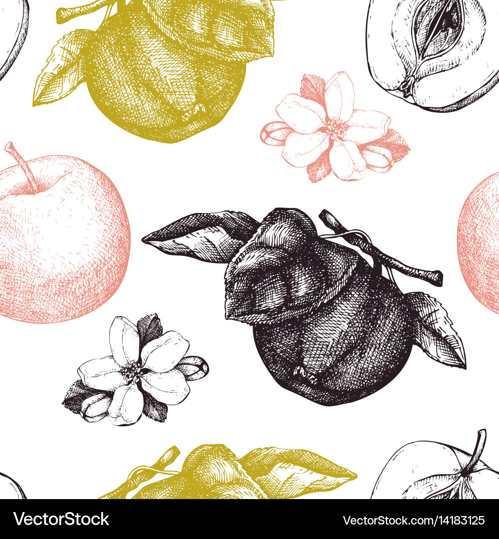 Seamless pattern with apple sketch Vector Image