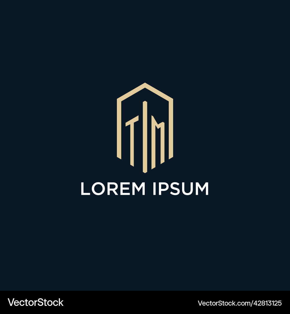 Tm initial monogram logo with hexagonal shape Tm initial monogram logo with hexagonal shape Vector Image