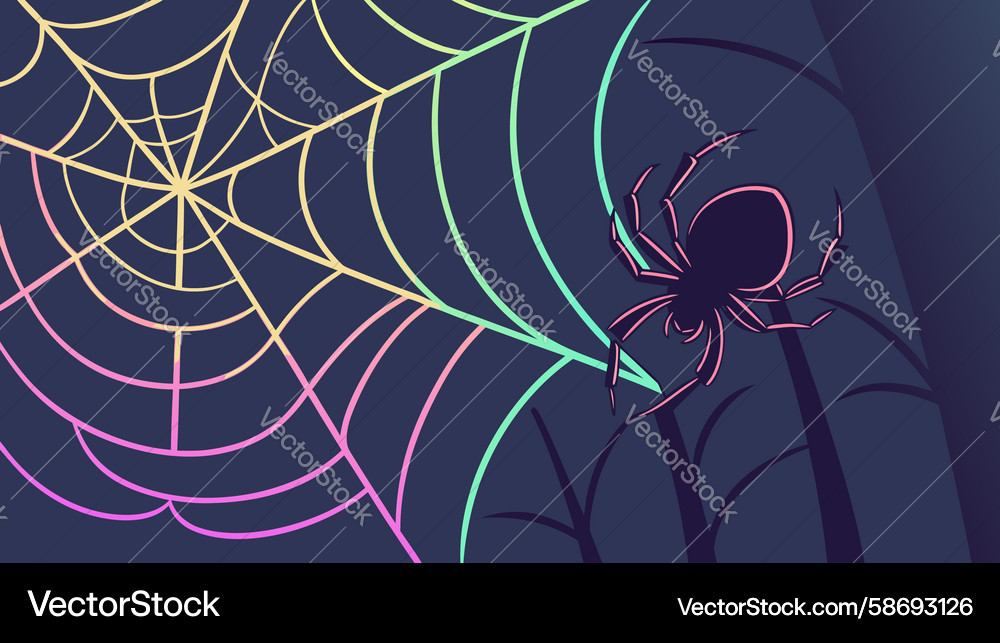 Intricate spiderweb background pattern design Vector Image