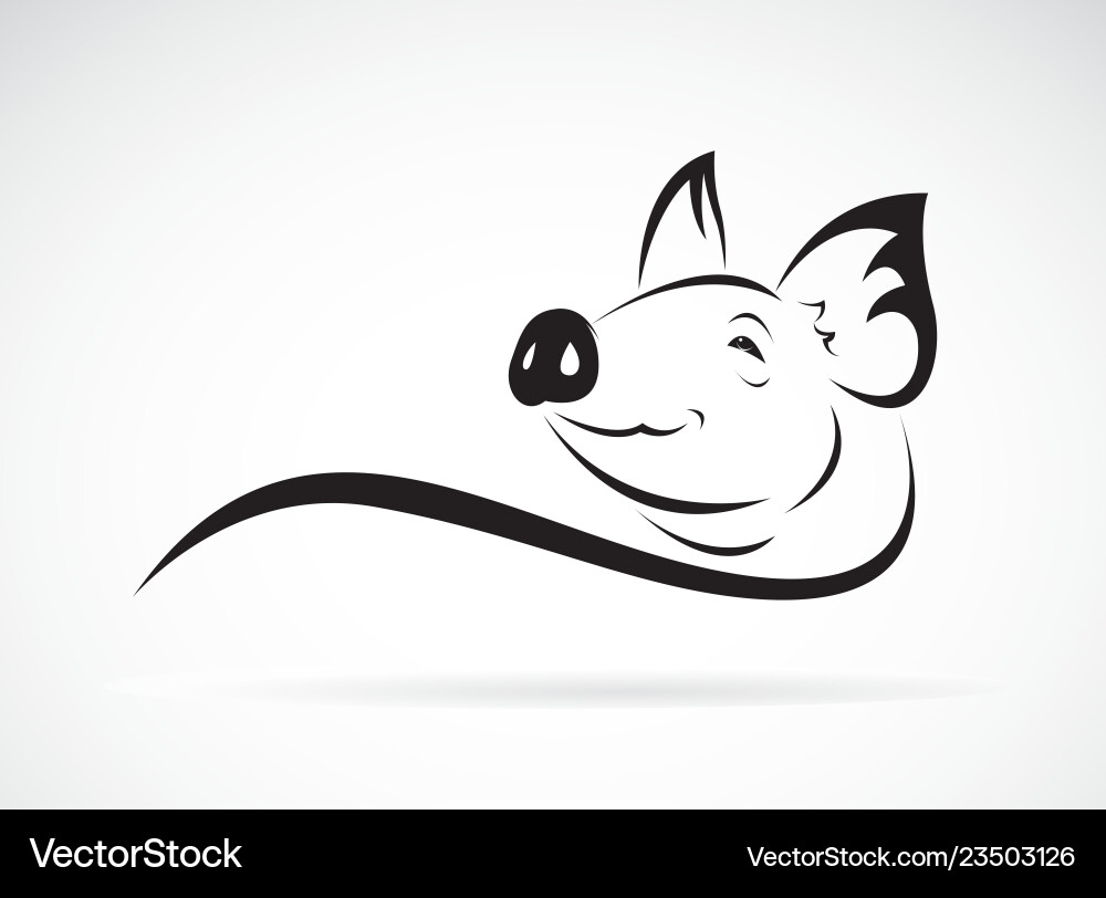 Pig head design on white background animal farm vector image