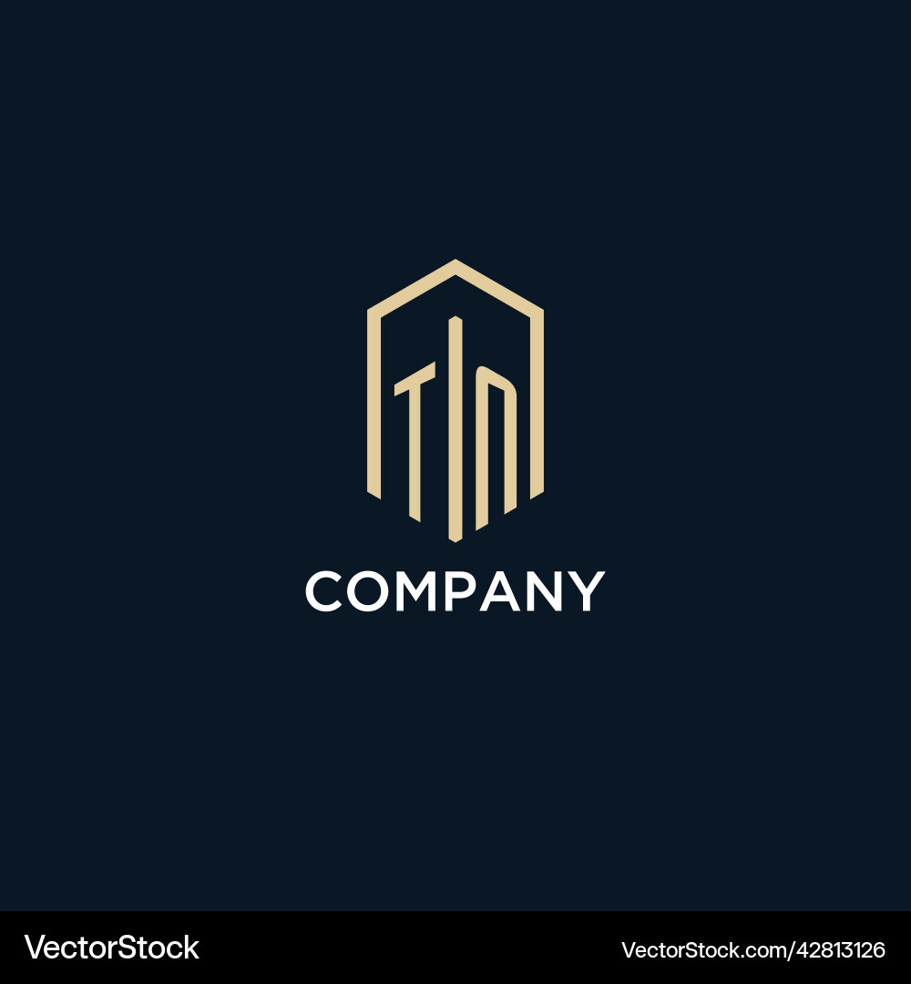 Tn initial monogram logo with hexagonal shape Tn initial monogram logo with hexagonal shape Vector Image