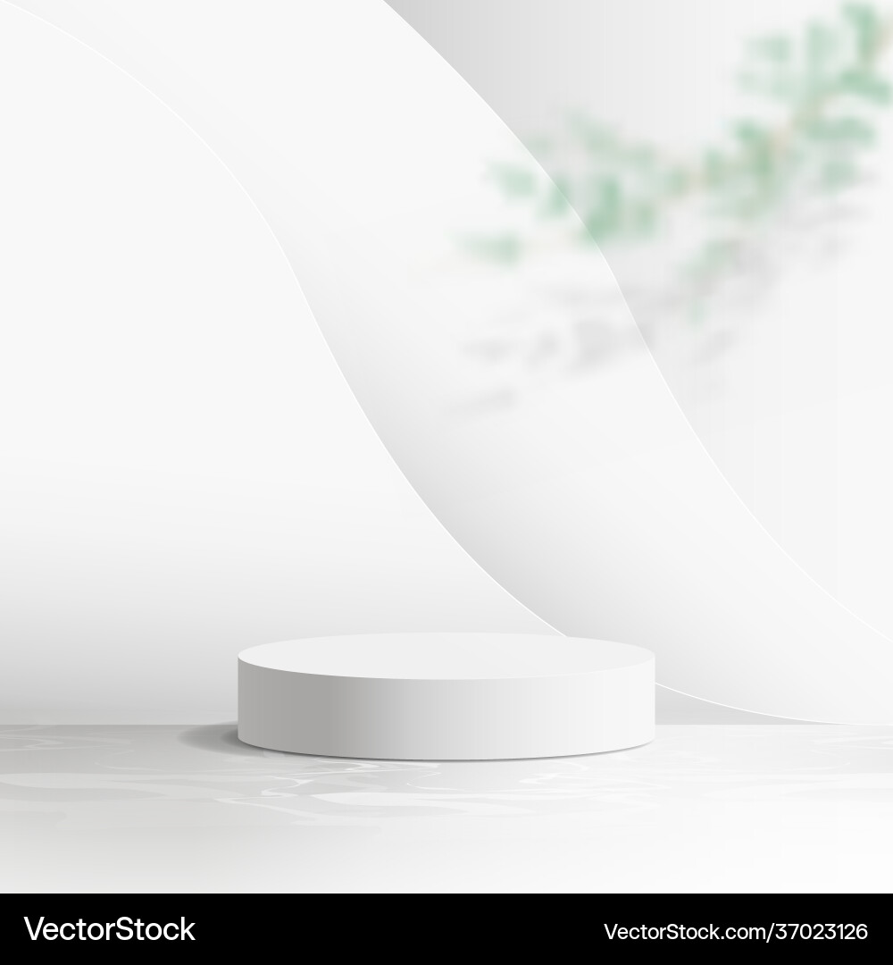 White product display mock up with tree branch White product display mock up with tree branch vector image