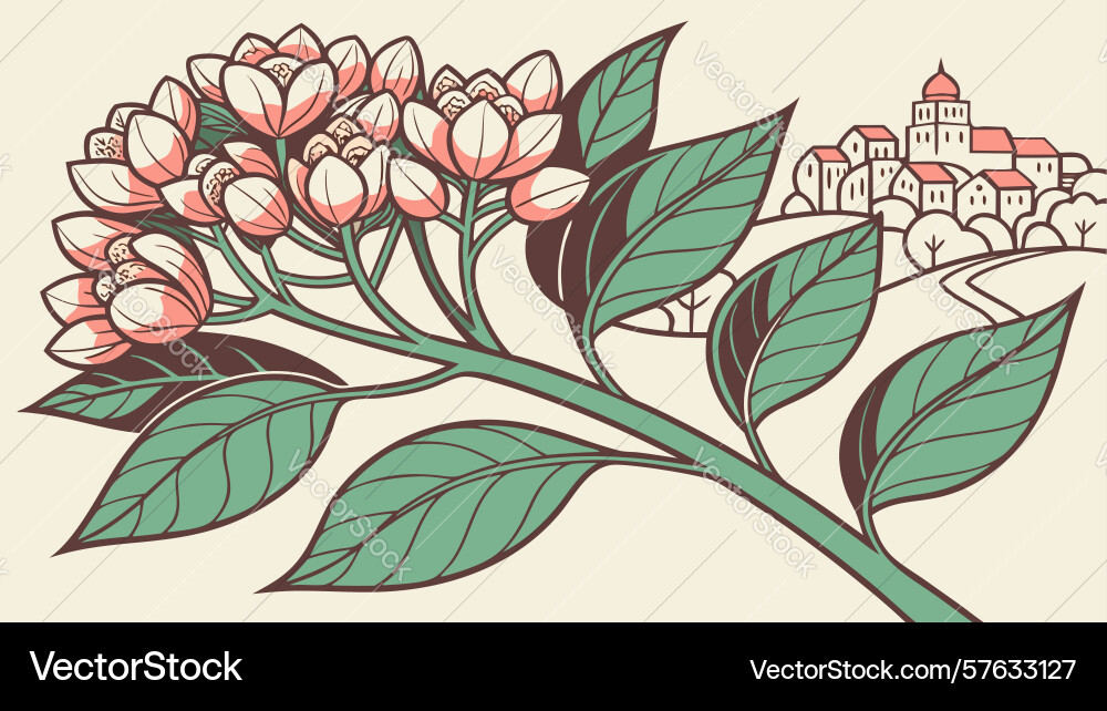 Blooming branch with clusters decorative spring Vector Image