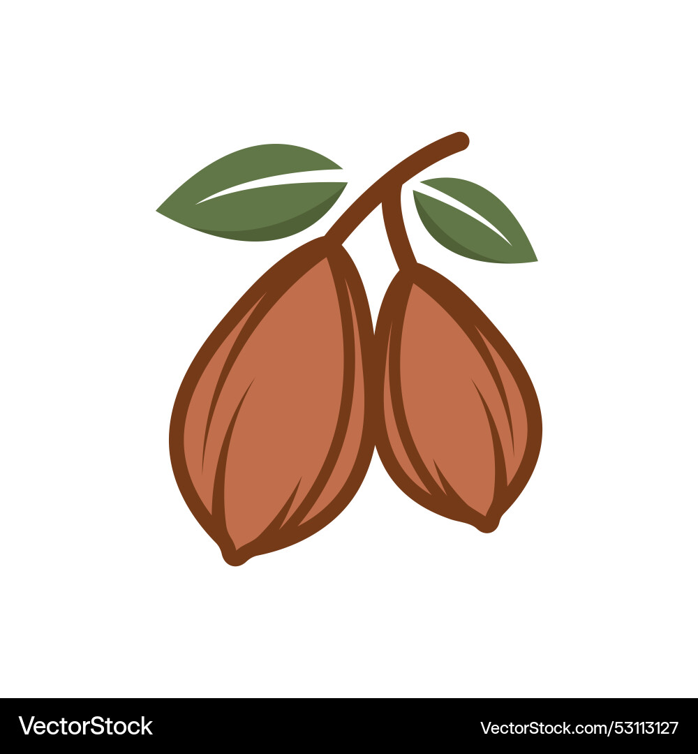 Cacao icon element design web Cacao icon element design web Vector Image