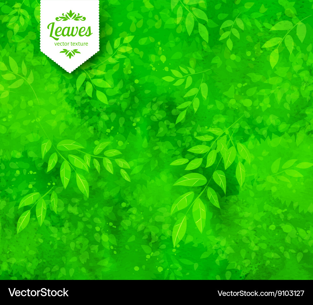 Green spring and summer background Royalty Free Vector Image