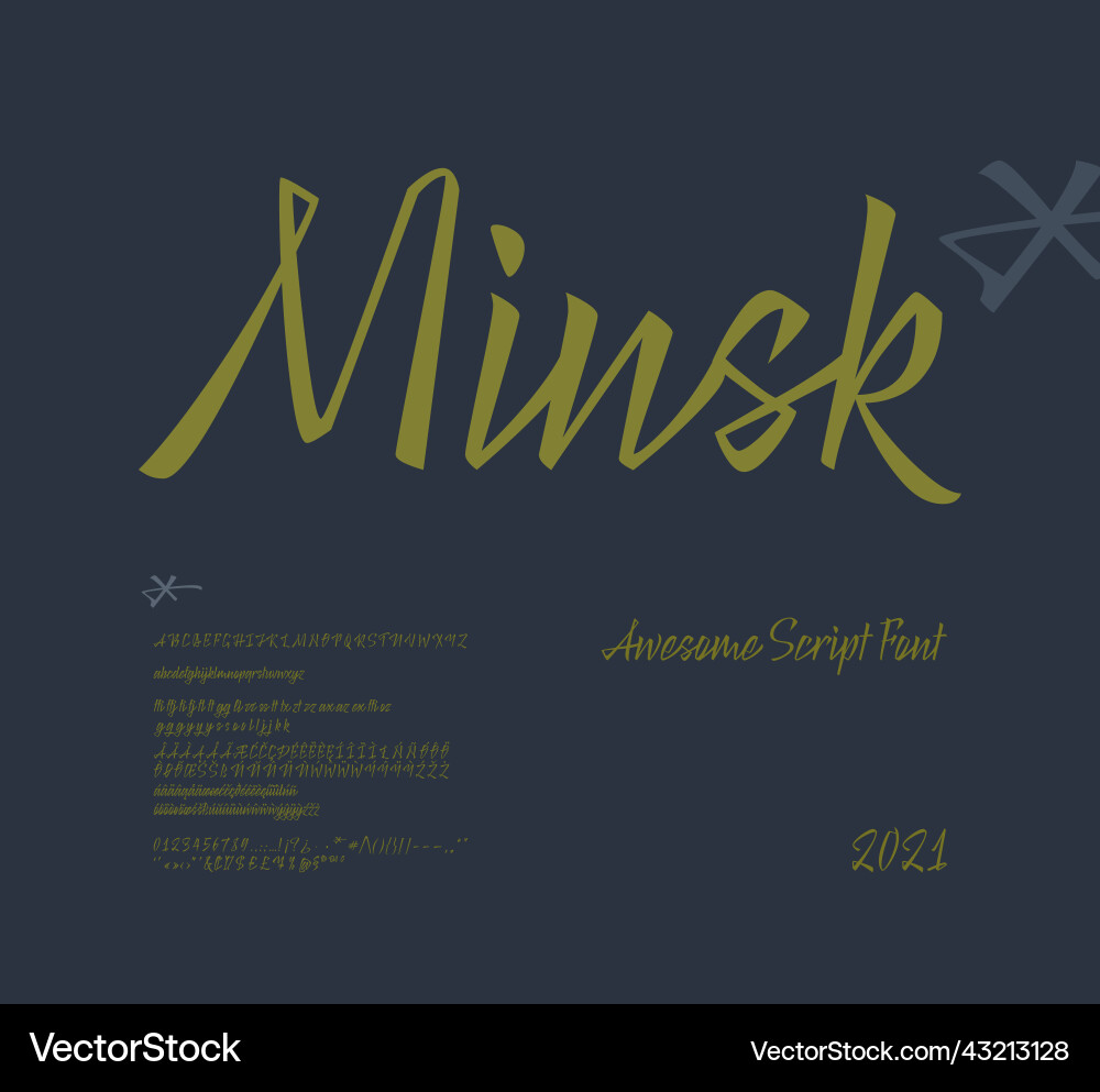 Minsk script font set of letters Minsk script font set of letters vector image